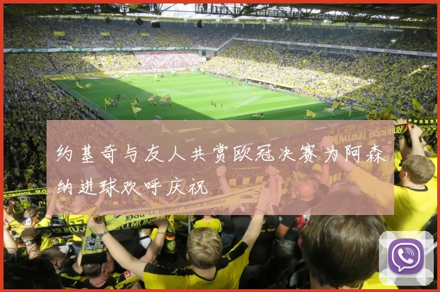 约基奇与友人共赏欧冠决赛为阿森纳进球欢呼庆祝