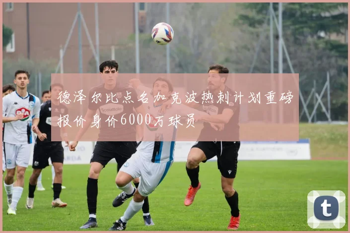 德泽尔比点名加克波热刺计划重磅报价身价6000万球员